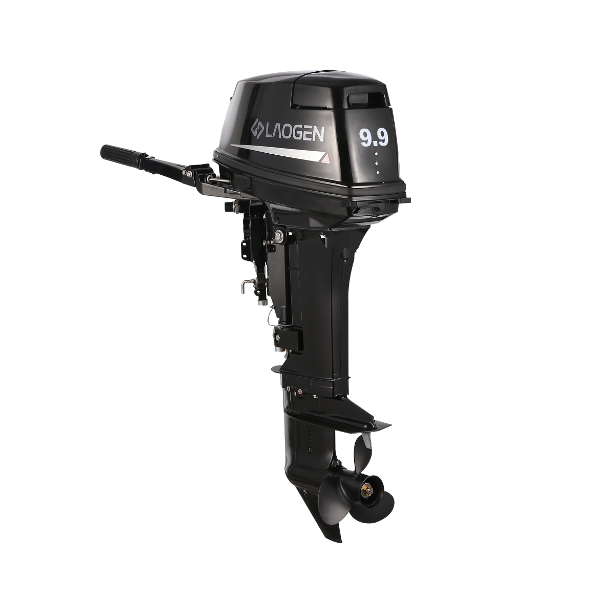 2 Stroke 9.9HP Robust Outboard Motor